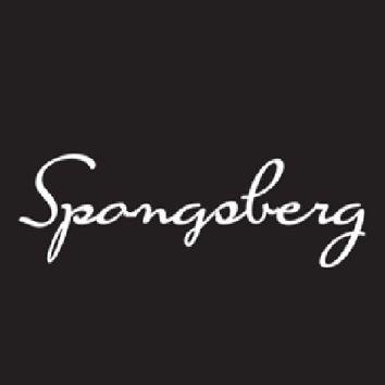 Spongoberg avatar