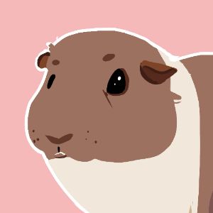 JimmyKune