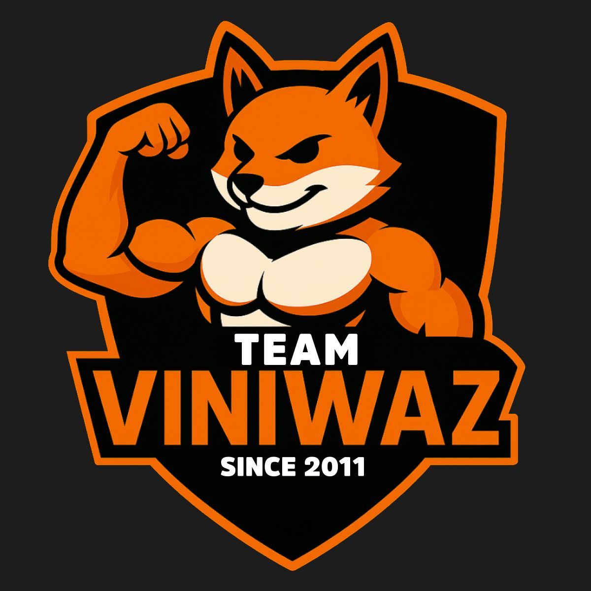 Team Viniwaz