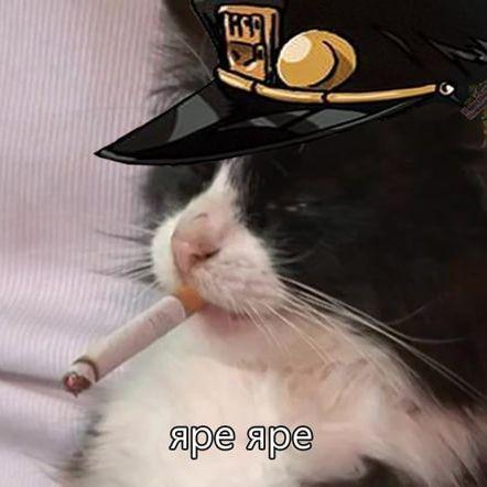 MALLIOHKYC avatar