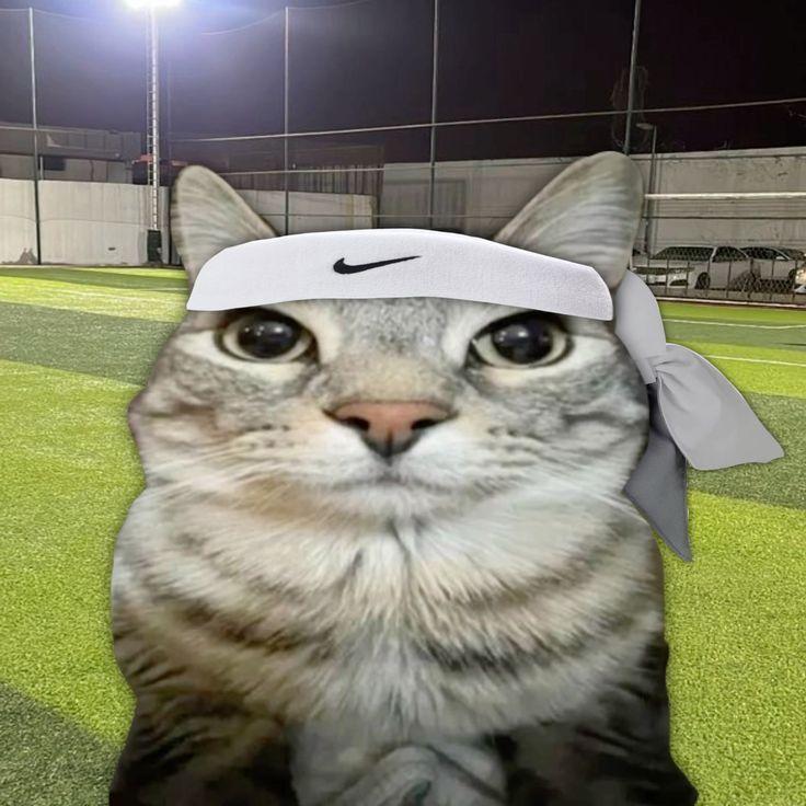 pixeel__ avatar