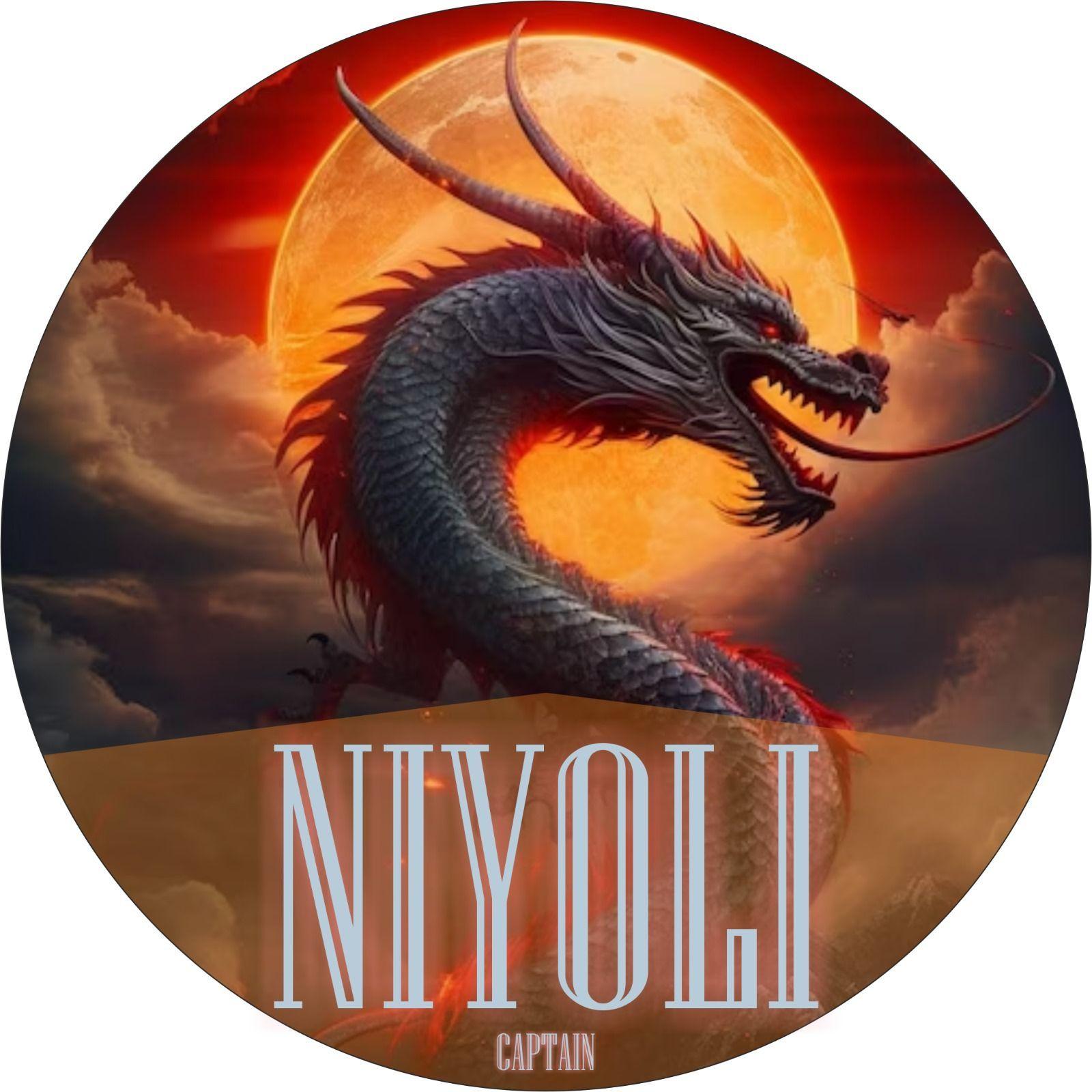 Player NiyoLi avatar