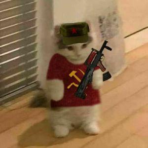 marujexz