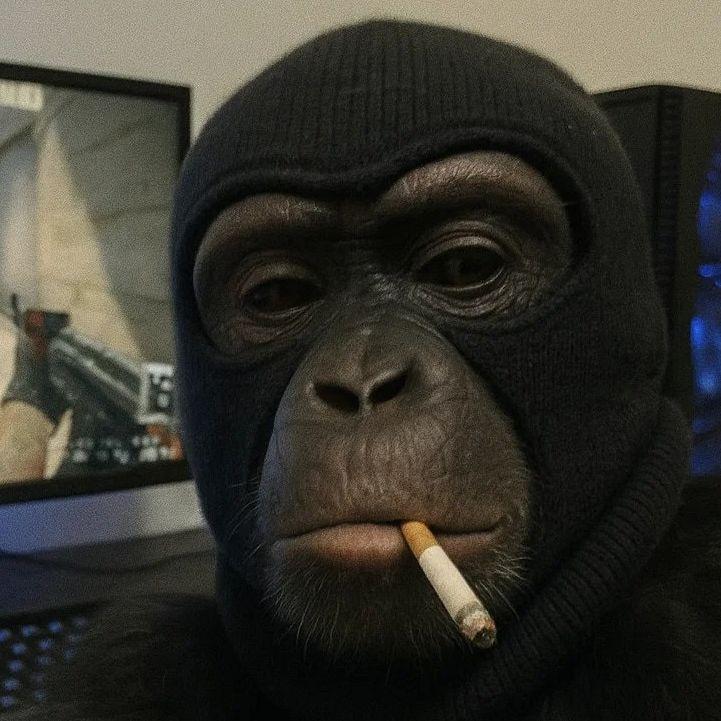 PAPUTRAXAL avatar