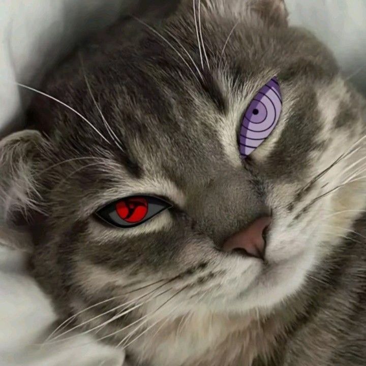 SoEzzzzZ