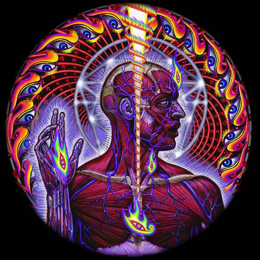 addictw0w avatar