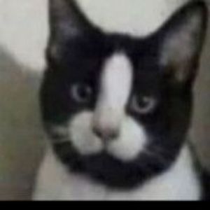 ANDREIqazwsx