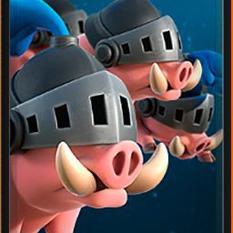 team_RoyalHogs