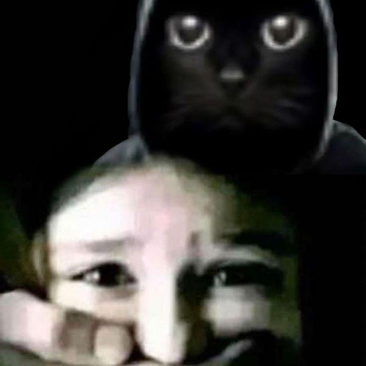 Hexxedasf