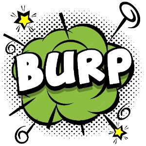 bUrpMeist3r