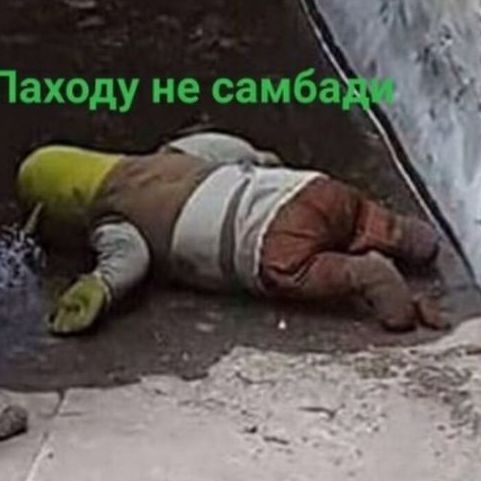 _Temy4_