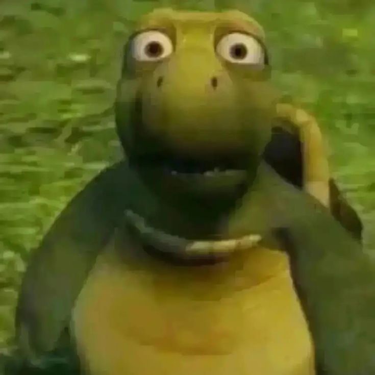 RozehNN