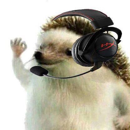 Derwop avatar