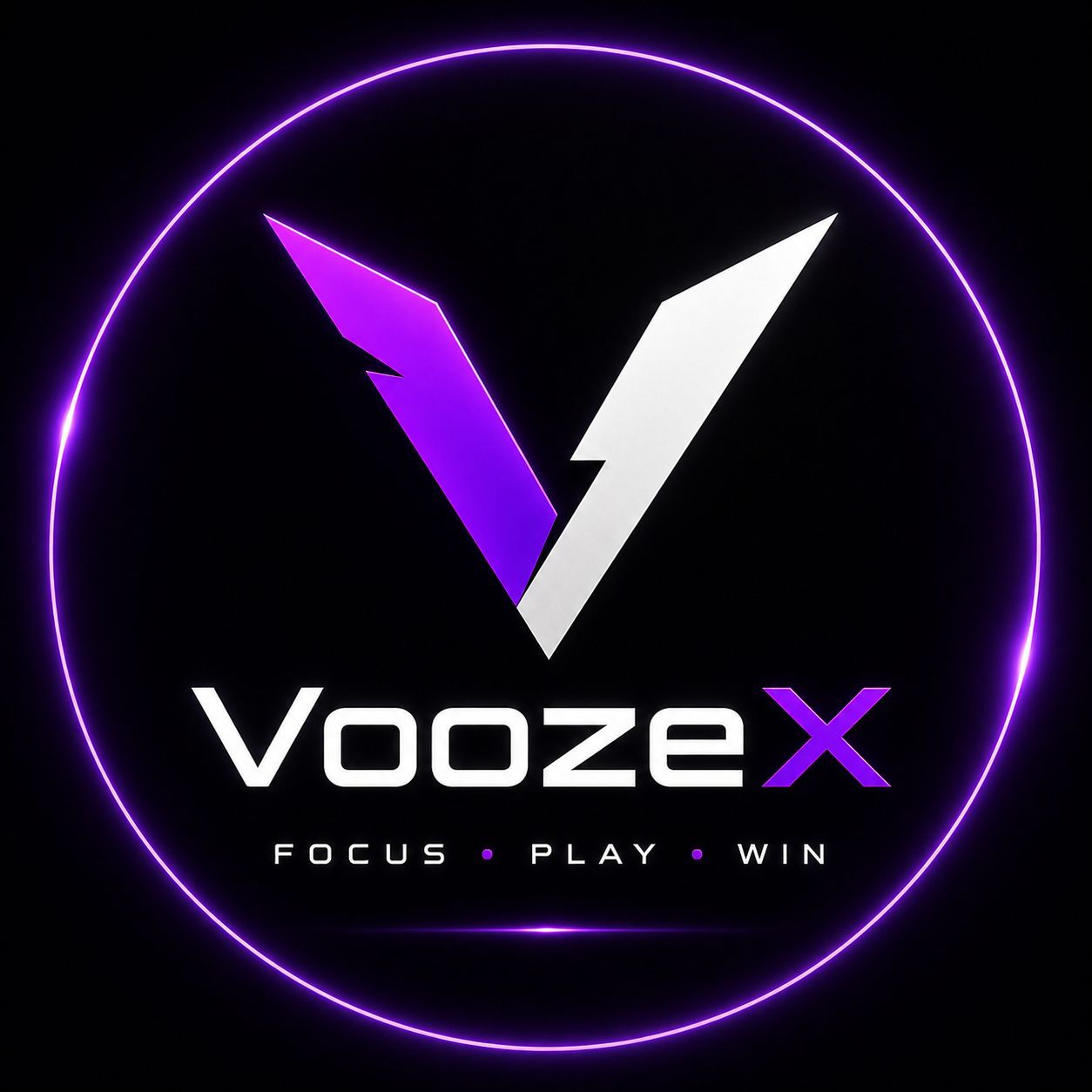team_VozeeX