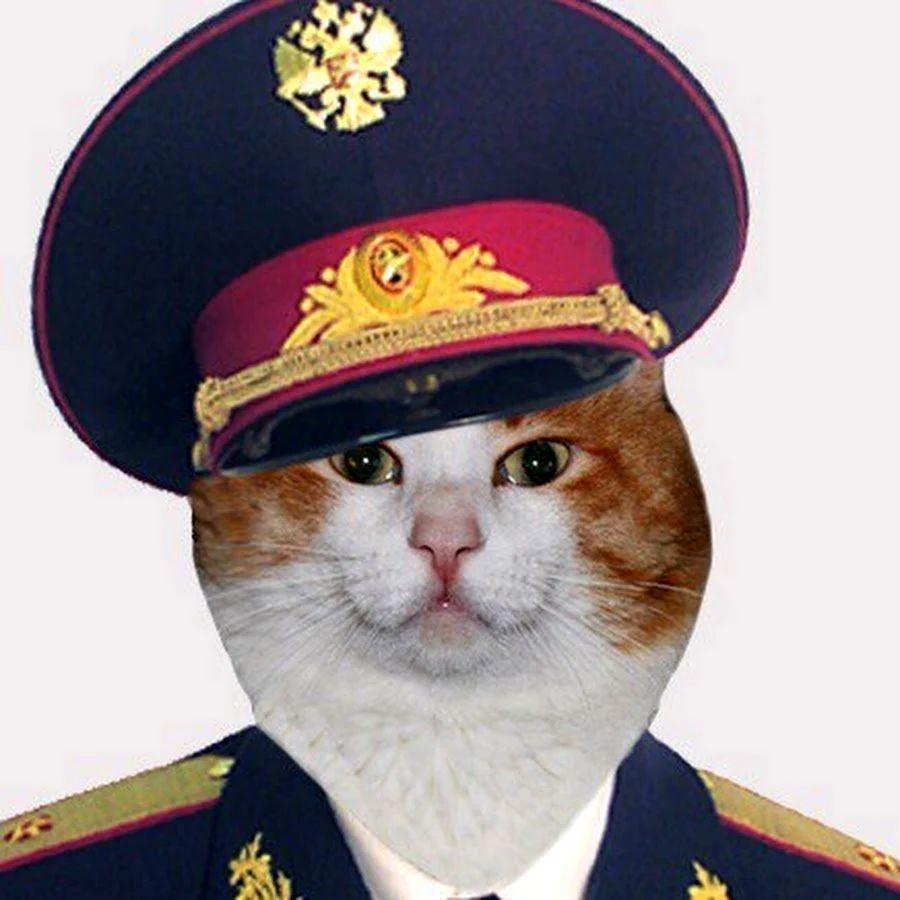 KxerOX_ avatar