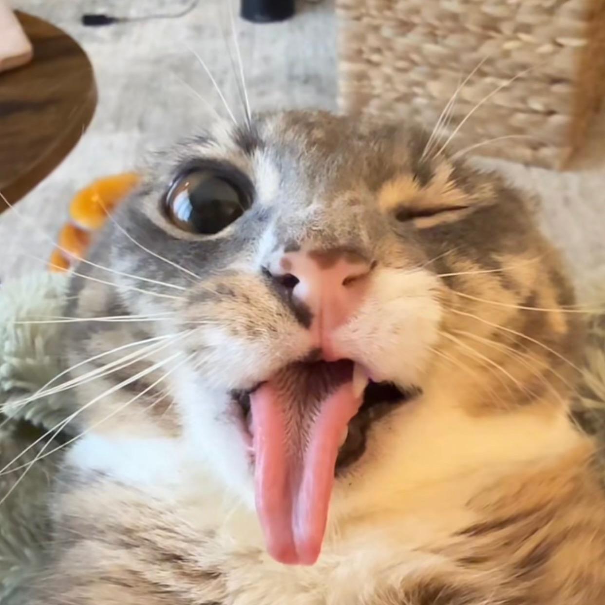 yutttto