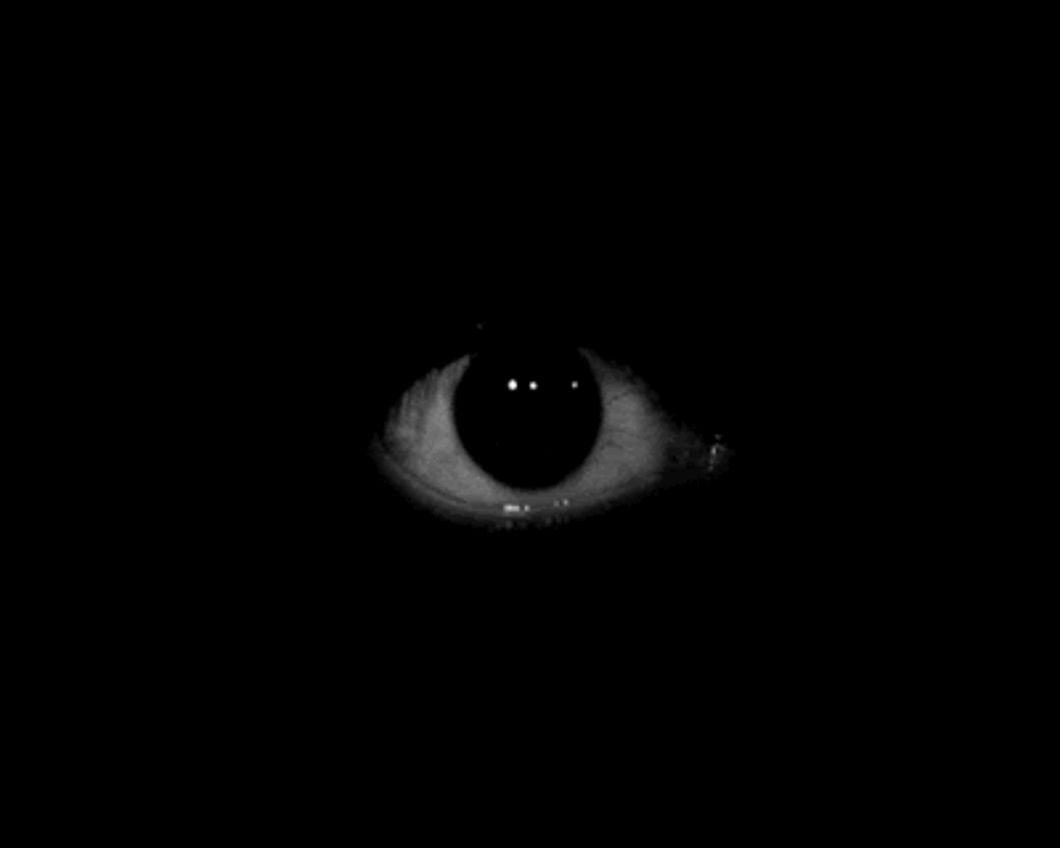 -sanr1x4308 avatar