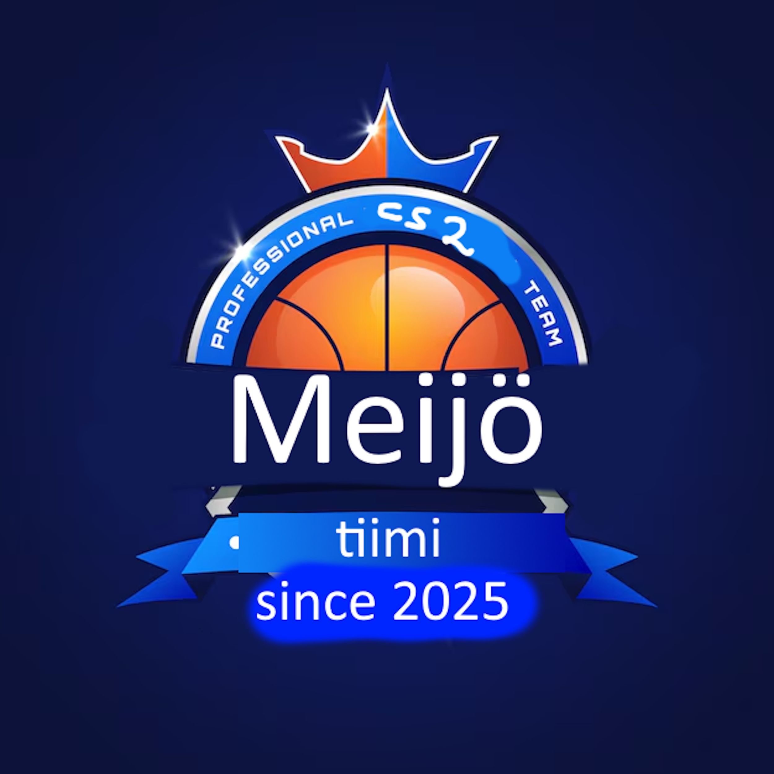 meijoe_tiimi