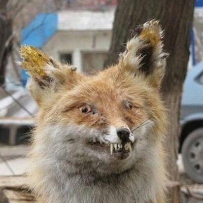 Tsygan9 avatar