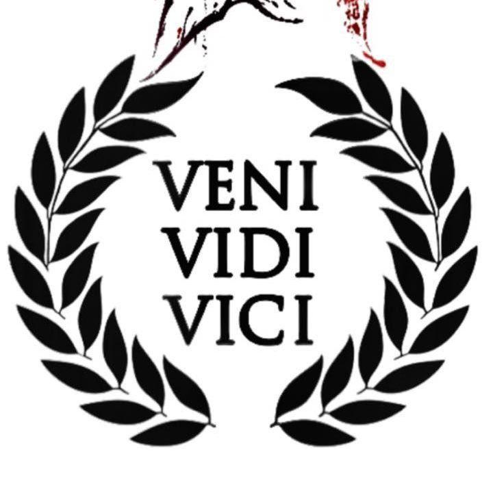 VeniVidiVi4i avatar