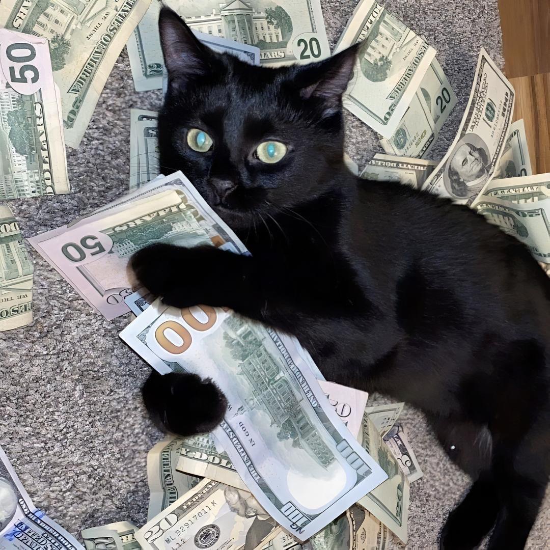 Ty0m4iK avatar