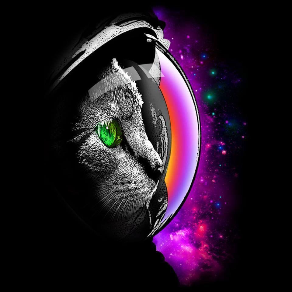 mikkY777 avatar
