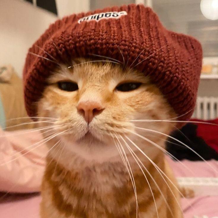 KiraR1n avatar