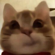ratfocel