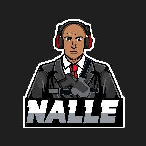 Player --Nalle avatar