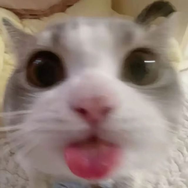 -kisa