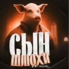 Mefedr0n4ek avatar