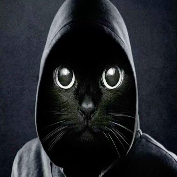 k0nfERRR avatar