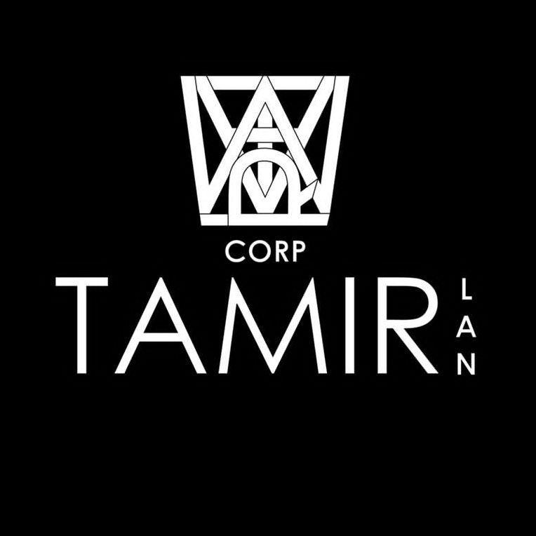 Player Tamir-corp avatar