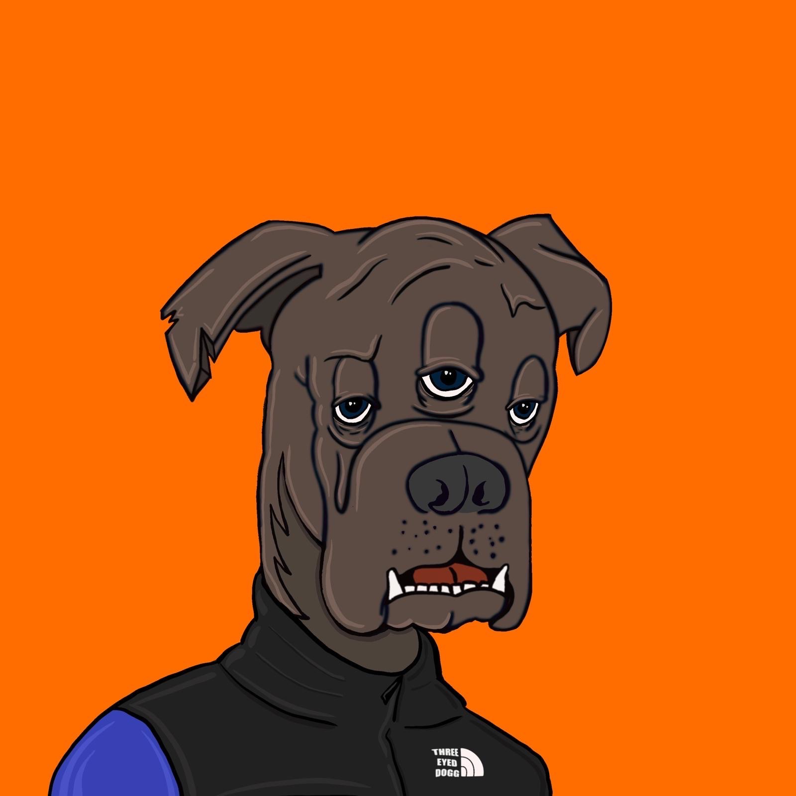 team_acipurk