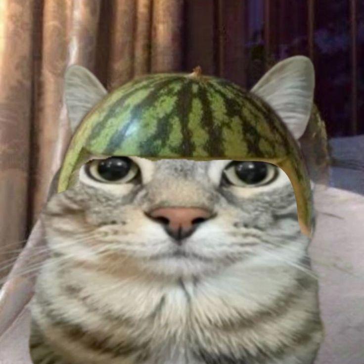 Spoodyzz