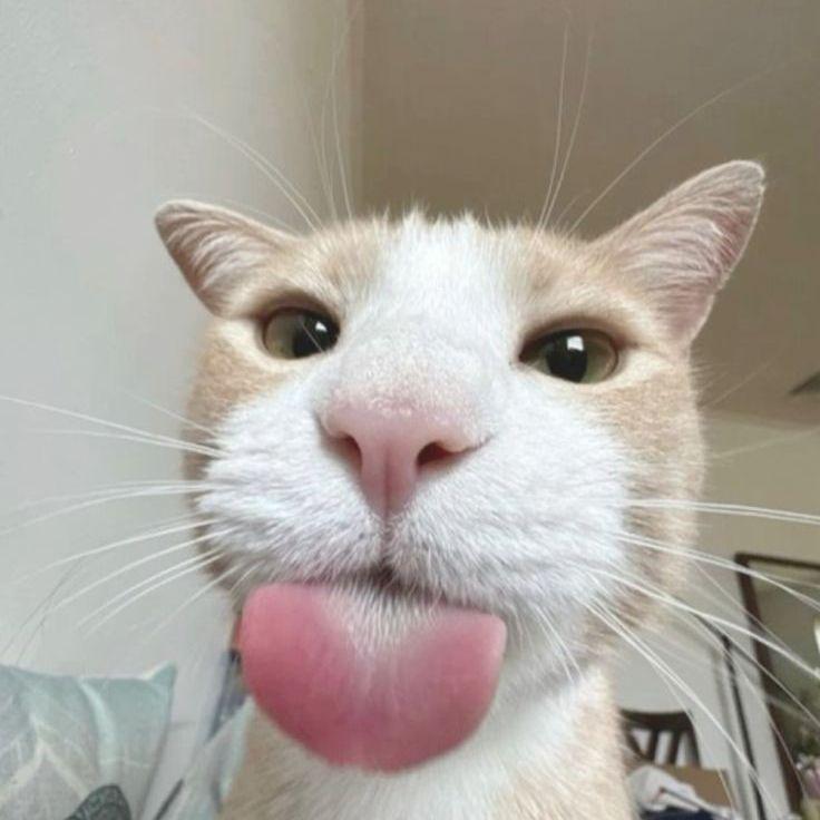 w0NDER999