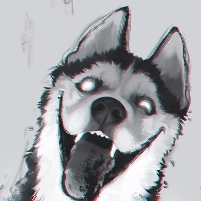 crrazydog avatar