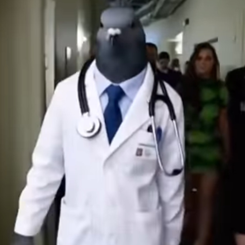 team_realestd