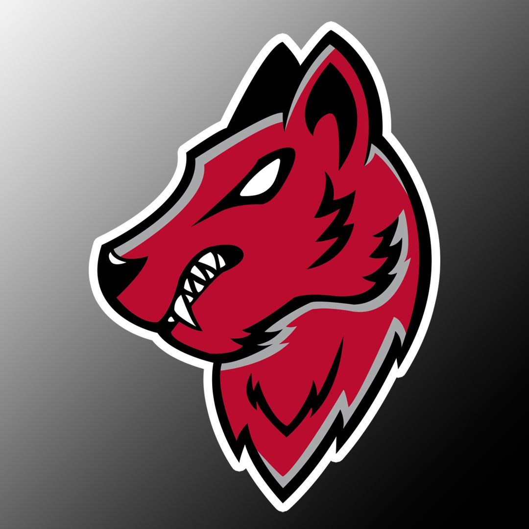 UNM Silver