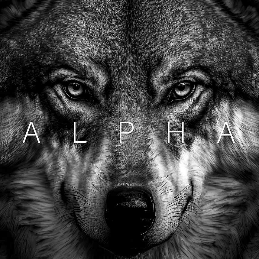 XxWolvesXx