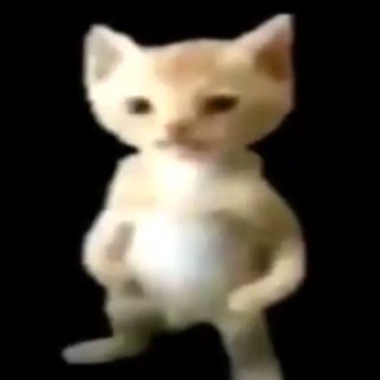 KrisSaddy