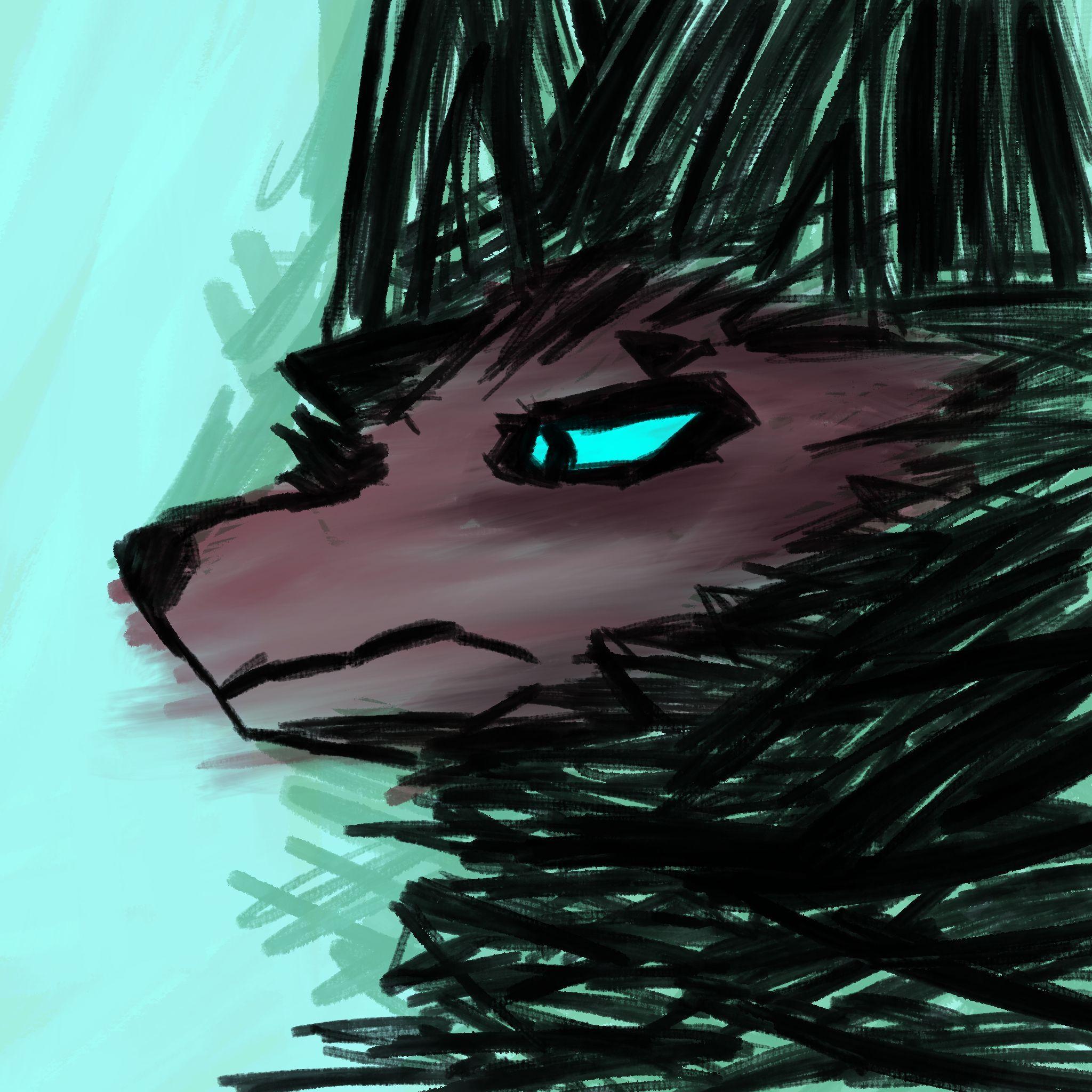 Minininjin avatar