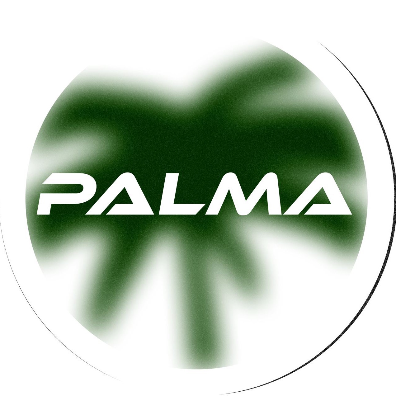 PALMA52 FACEIT avatar