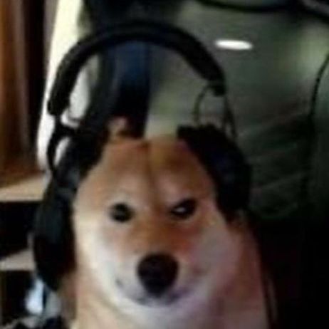 Faceit Avatar