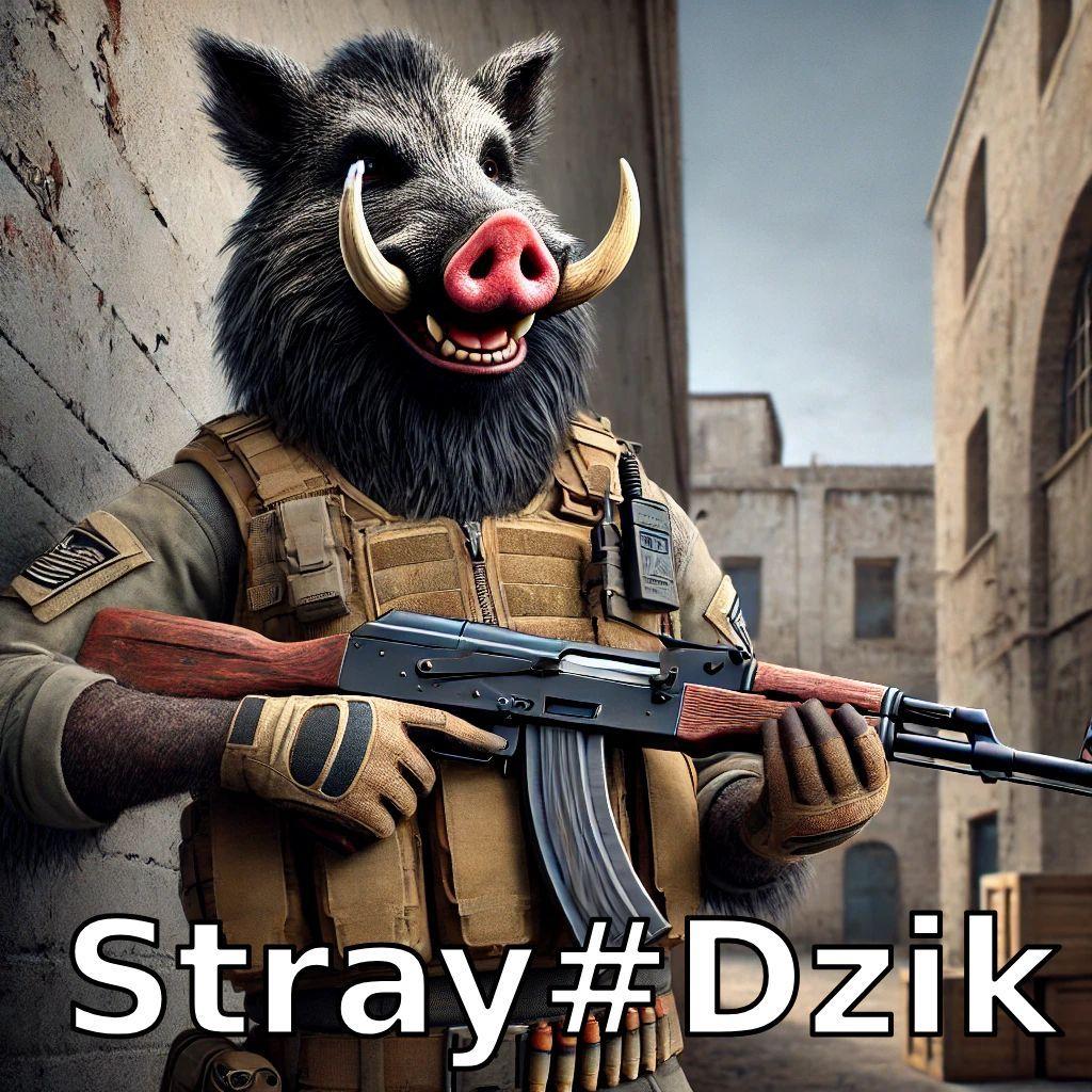 KingStray avatar