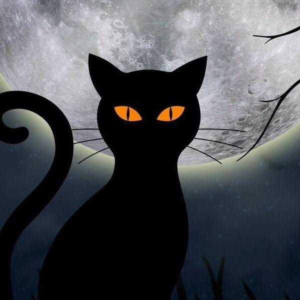 Fuzbizz avatar