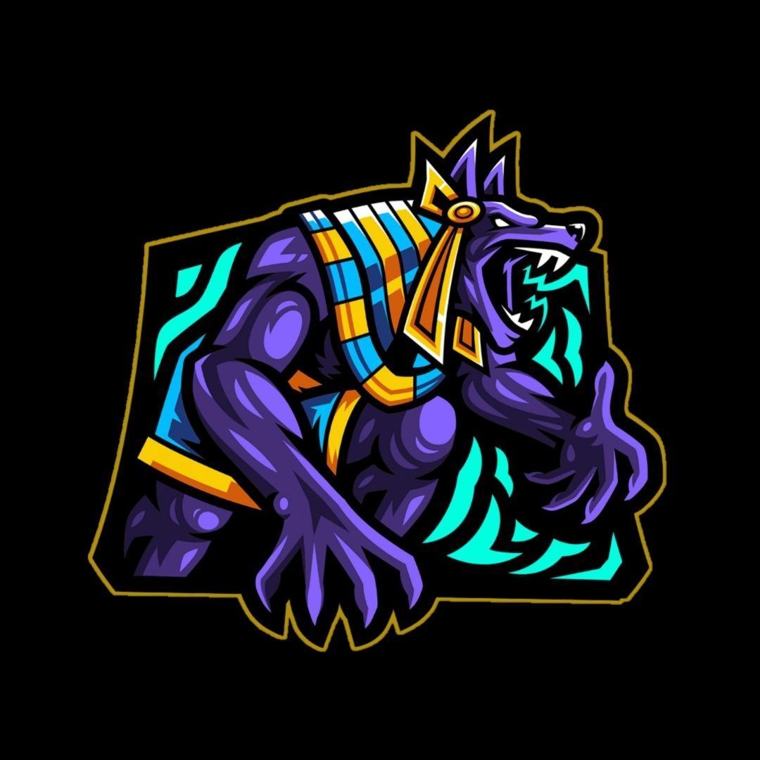Anubis Team
