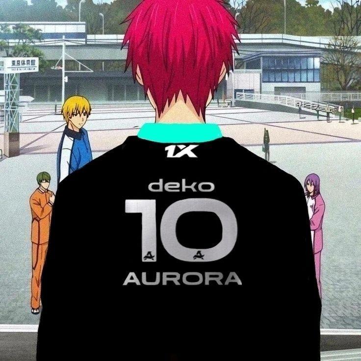 xshino13