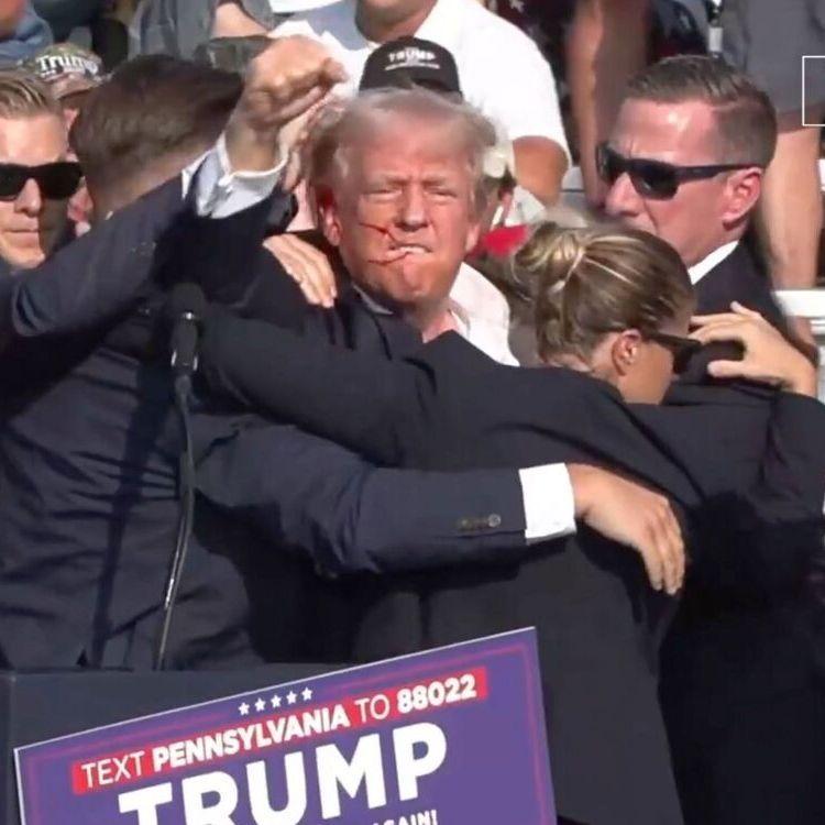 ThEDonaldxD