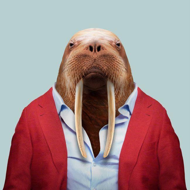 MOrhzH avatar